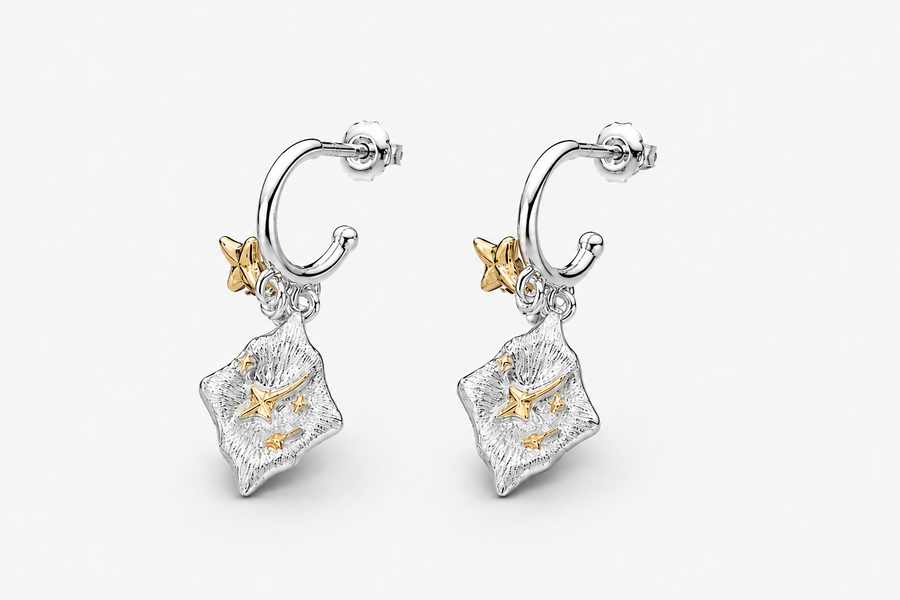 Dawnstar Two-Tone Drop Earrings product view